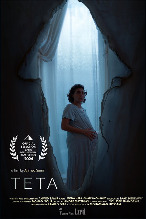 Постер фильма «Teta»