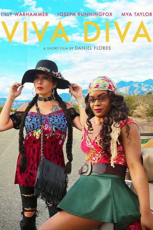 Постер фильма «Viva Diva»