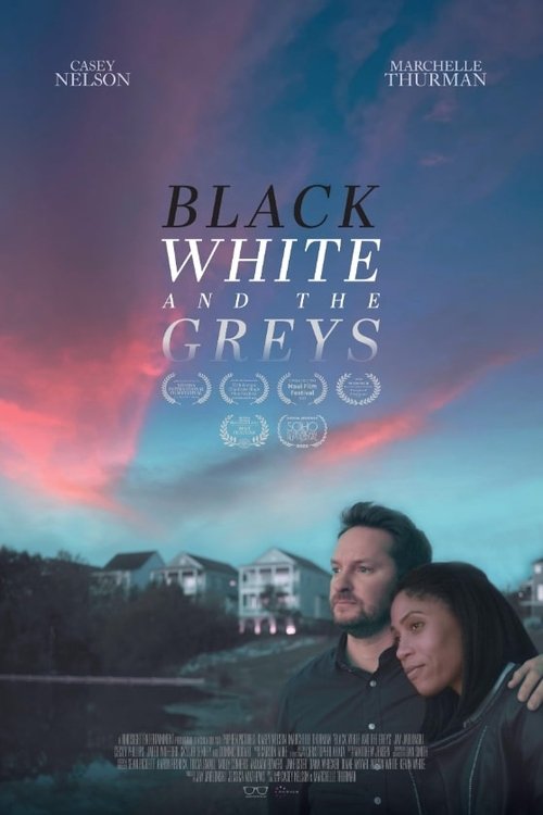 Постер фильма «Black White and the Greys»