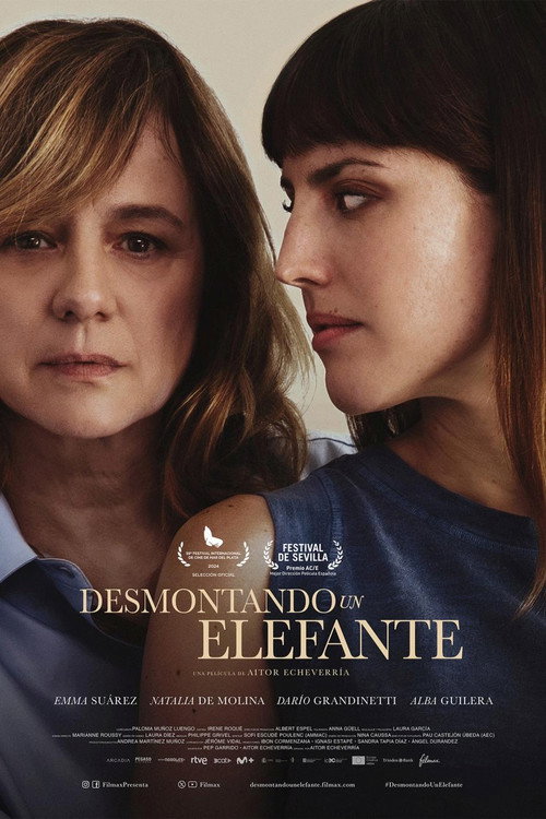 Постер фильма «Desmontando un elefante»