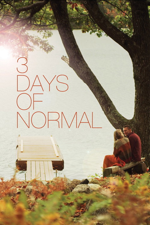 Постер фильма «3 Days of Normal»
