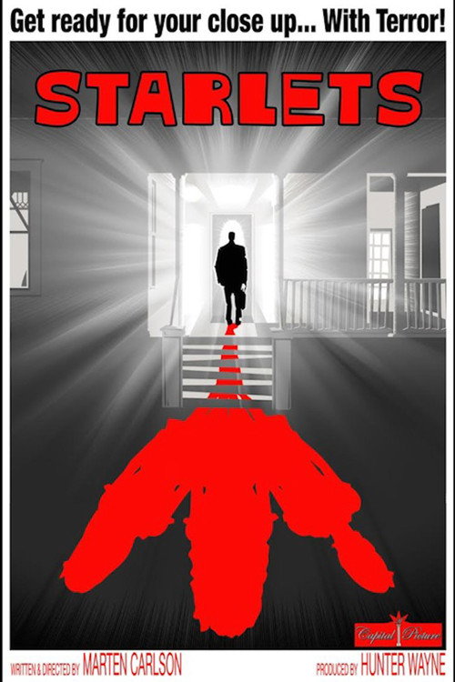Постер фильма «Starlets»