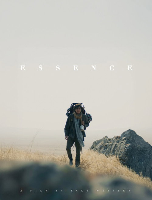 Постер фильма «Essence»