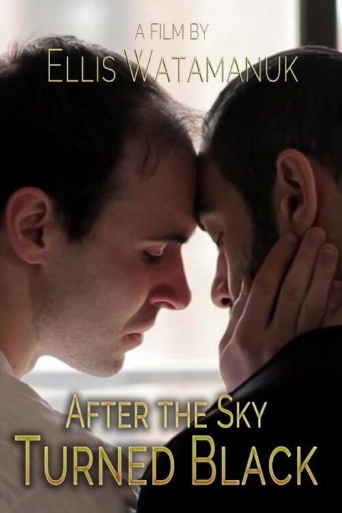 Постер фильма «After the Sky Turned Black»
