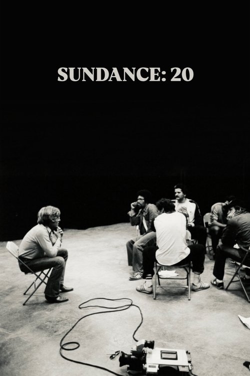 Постер фильма «Sundance 20»