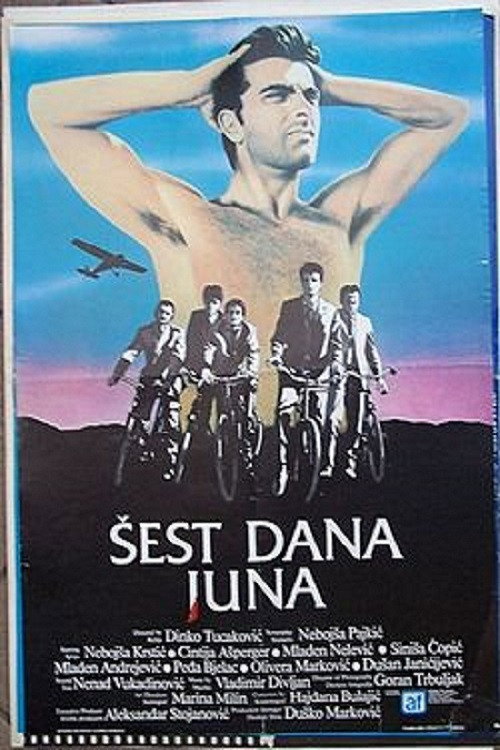 Постер фильма «Šest dana juna»