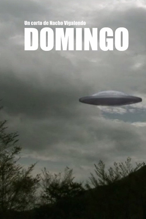 Постер фильма «Domingo»