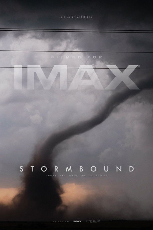 Постер фильма «Stormbound»