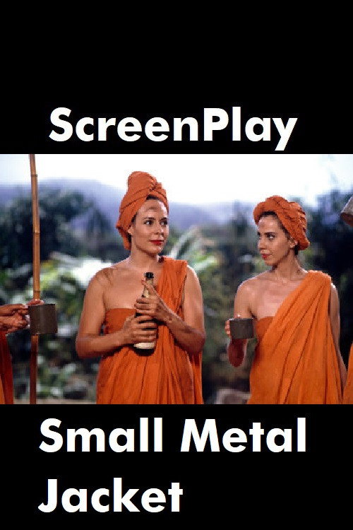 Постер фильма «Small Metal Jacket»