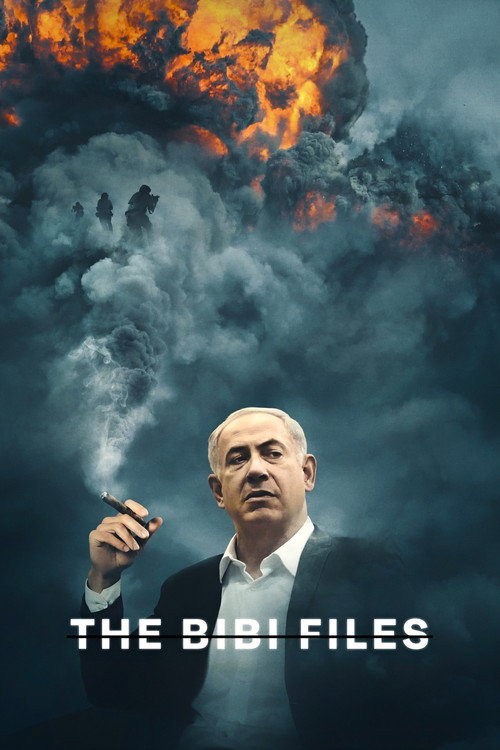 Постер фильма «The Bibi Files»