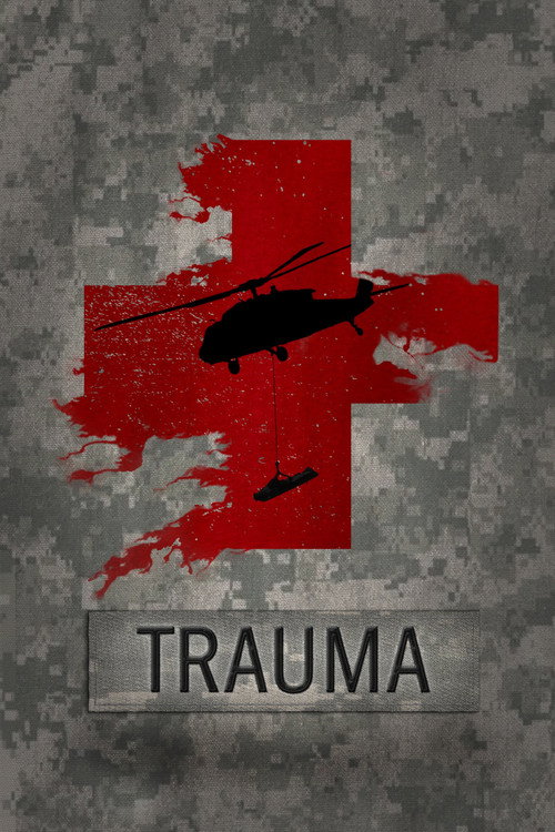 Постер фильма «Trauma»