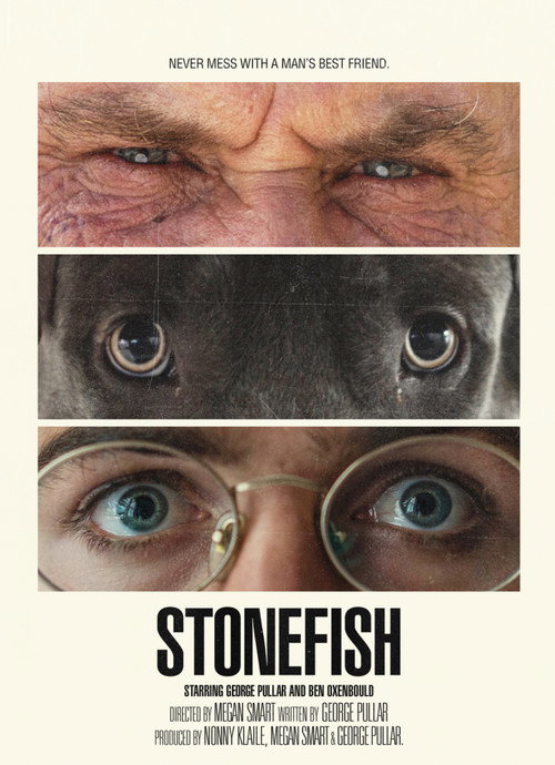 Постер фильма «Stonefish»