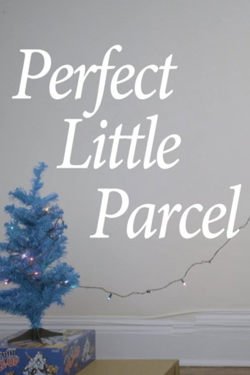 Постер фильма «Perfect Little Parcel»