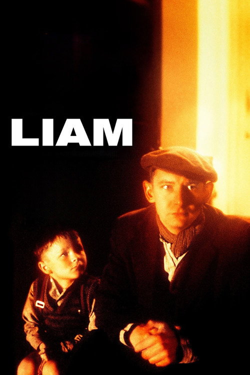 Постер фильма «Liam»