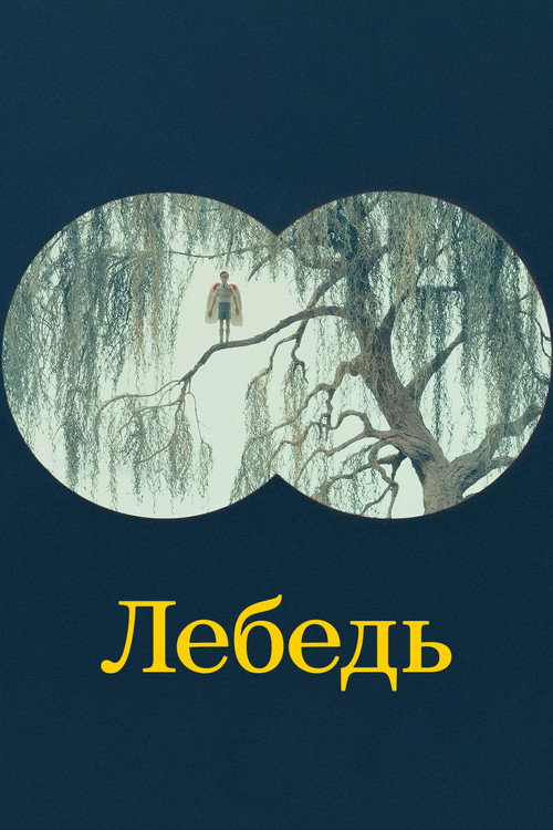 Постер фильма «Лебедь»