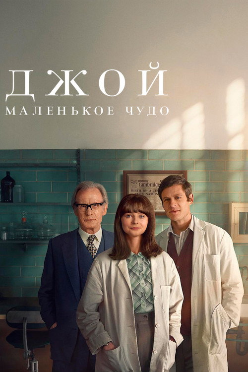 Постер фильма «Джой: маленькое чудо»