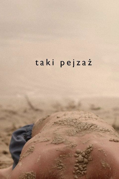 Постер фильма «Taki pejzaż»