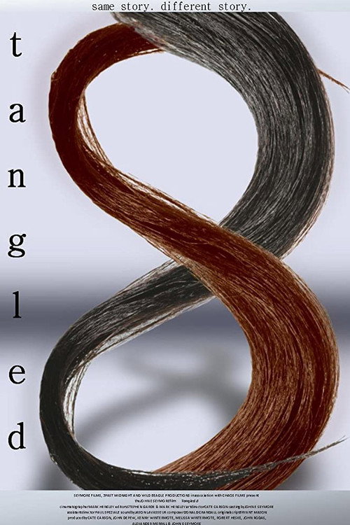 Постер фильма «Tangled 8»