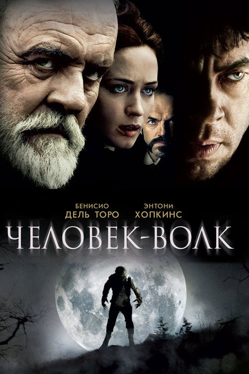 Постер фильма «Человек-волк»