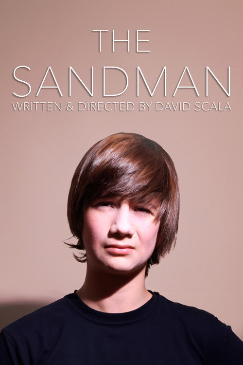 Постер фильма «The Sandman»