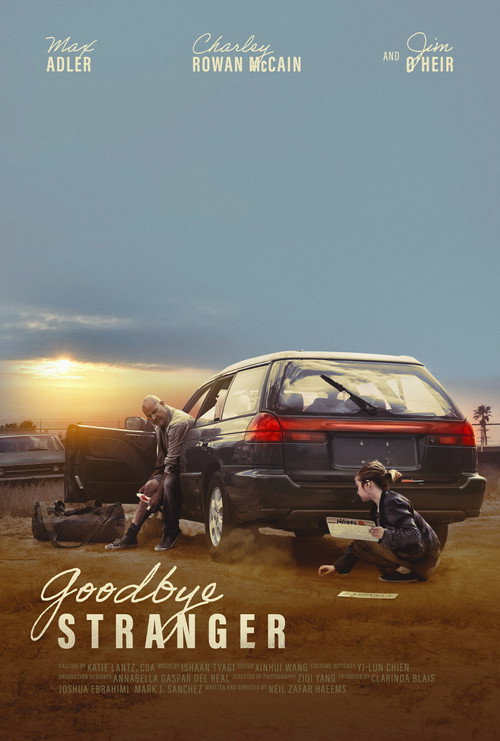 Постер фильма «Goodbye Stranger»