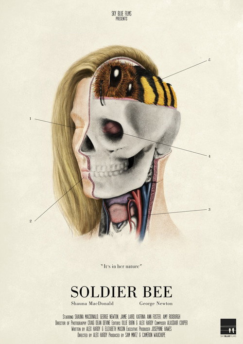 Постер фильма «Soldier Bee»