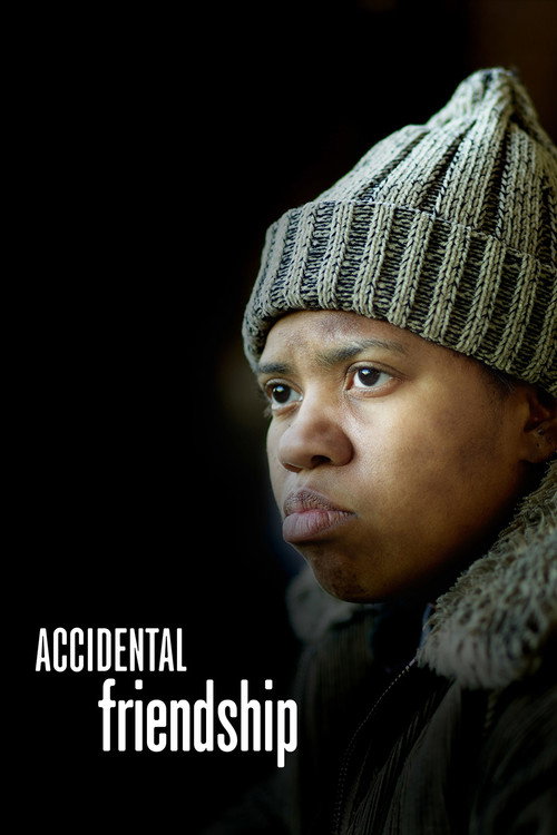 Постер фильма «Accidental Friendship»