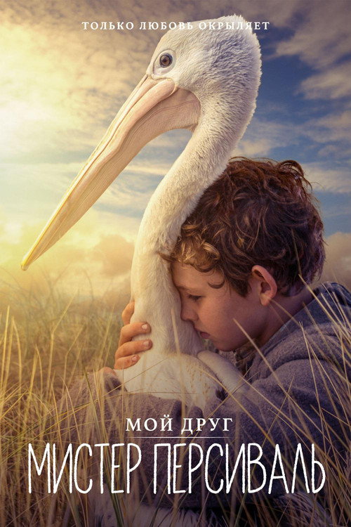 Постер фильма «Мой друг мистер Персиваль»