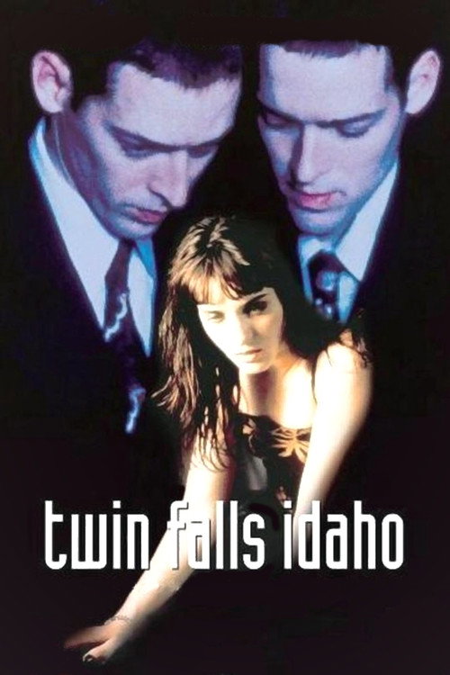 Постер фильма «Twin Falls Idaho»