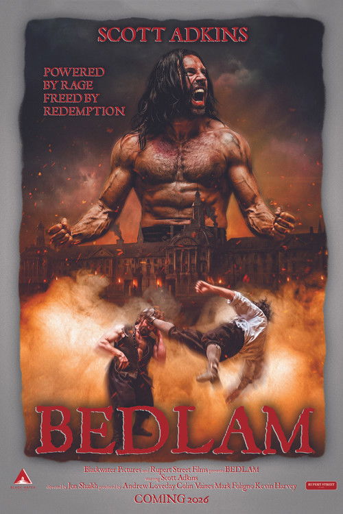 Постер фильма «Bedlam»