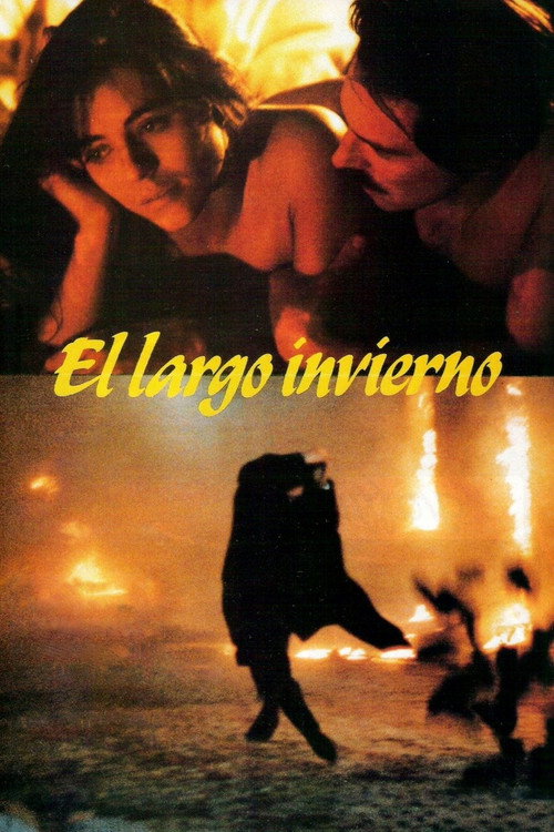 Постер фильма «El largo invierno»