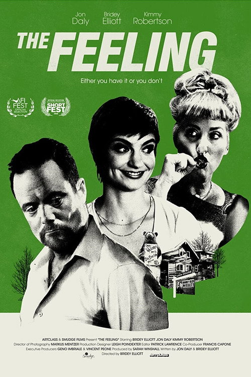 Постер фильма «The Feeling»