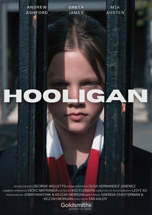 Постер фильма «Hooligan»