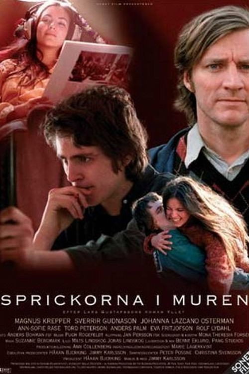 Постер фильма «Sprickorna i muren»
