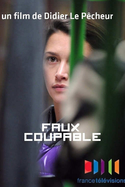 Постер фильма «Faux coupable»