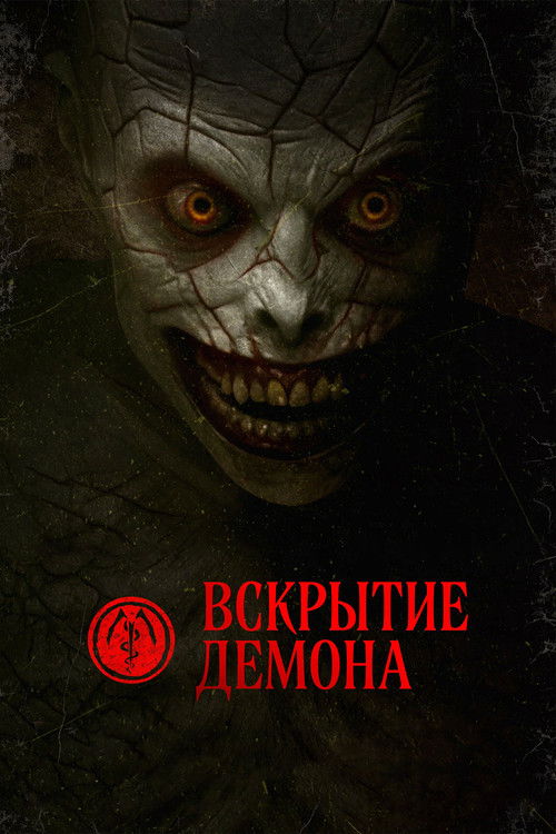 Постер фильма «Вскрытие демона»