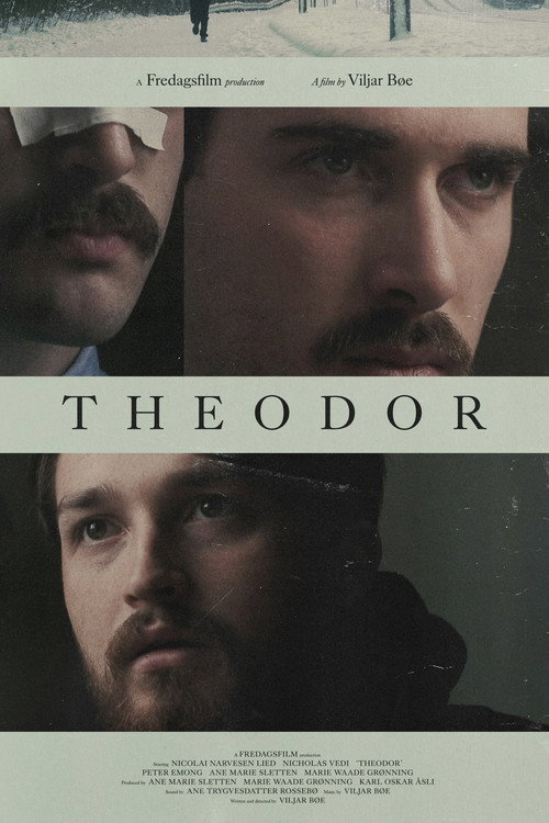 Постер фильма «Theodor»