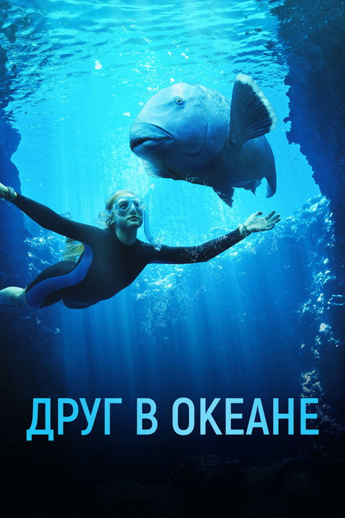 Постер фильма «Друг в океане»