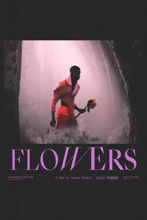Постер фильма «Flowers»