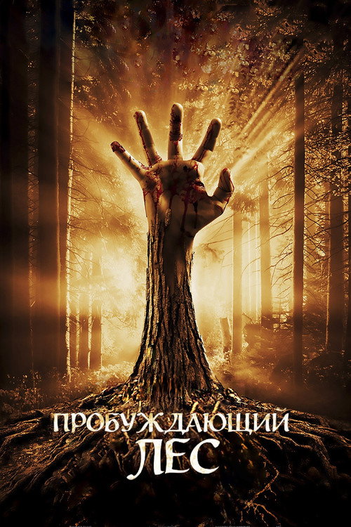 Постер фильма «Пробуждающий лес»