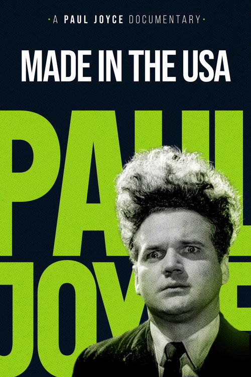 Постер фильма «Made in the USA»