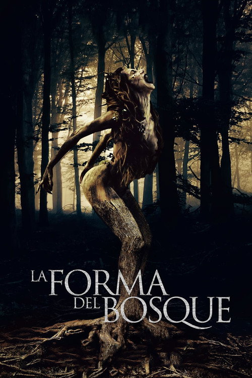 Постер фильма «Форма леса»