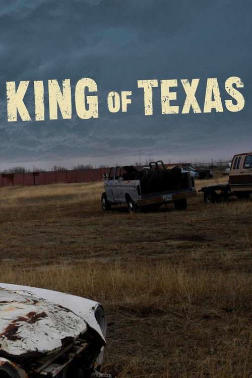 Постер фильма «The King of Texas»
