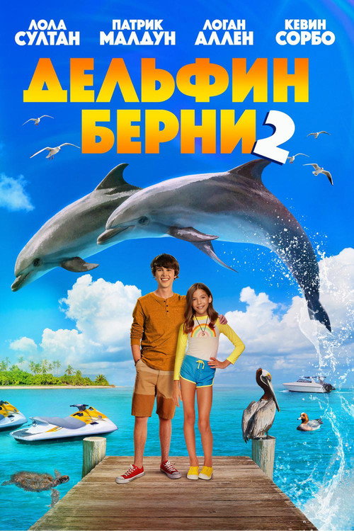 Постер фильма «Дельфин Берни 2»