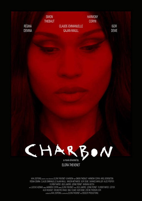 Постер фильма «Charbon»