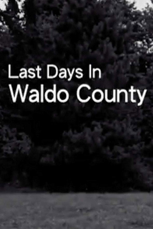 Постер фильма «Last Days In Waldo County»