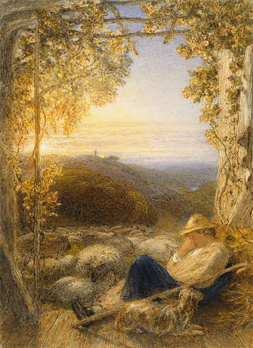 Постер фильма «The Sleeping Shepherd»