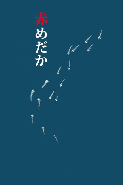 Постер фильма «赤めだか»