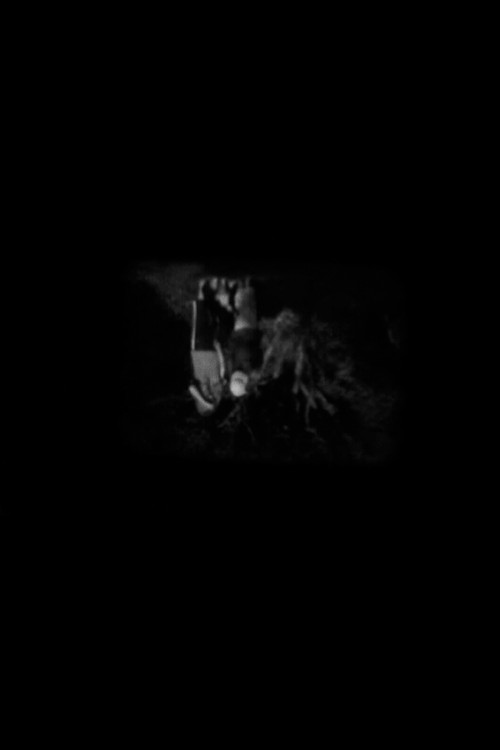 Постер фильма «Nocturnum»