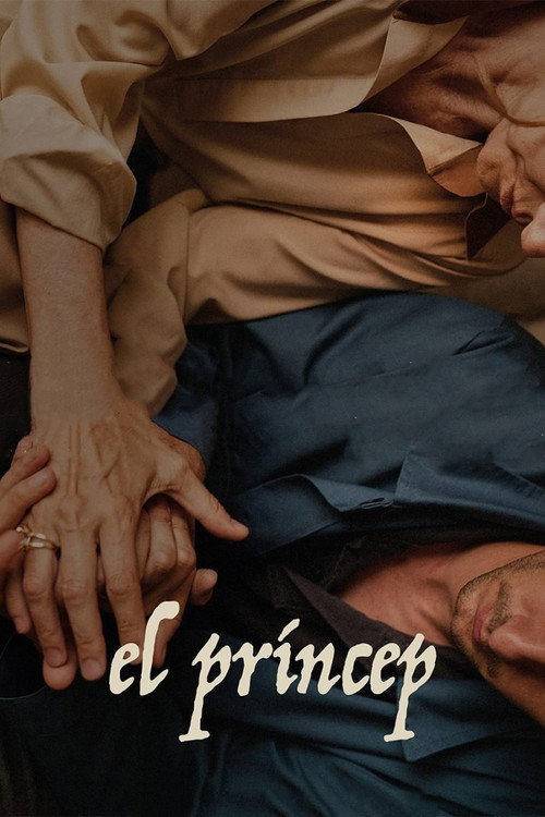 Постер фильма «El príncep»